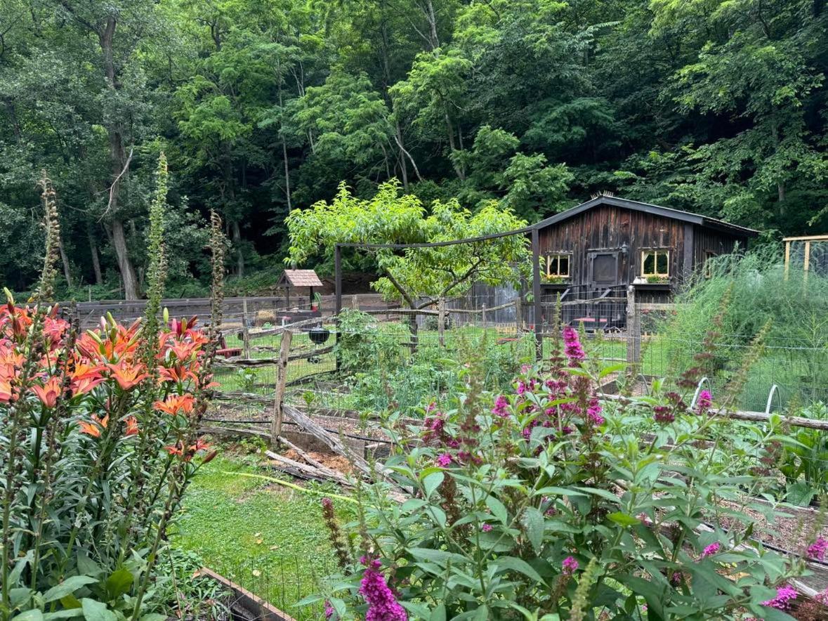 The Renovated Barn At Seneca Rocks Villa Exterior foto