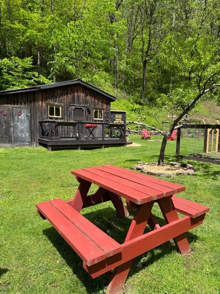 The Renovated Barn At Seneca Rocks Villa Exterior foto